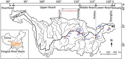 Population Genetics Reveals Invasion Origin of Coilia brachygnathus in the Three Gorges Reservoir of the Yangtze River, China
